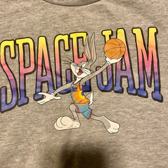 Space Jam: A New Legacy brand. Long Sleeve Gray Sweatshirt.  In great condition! - Picture 5 of 10
